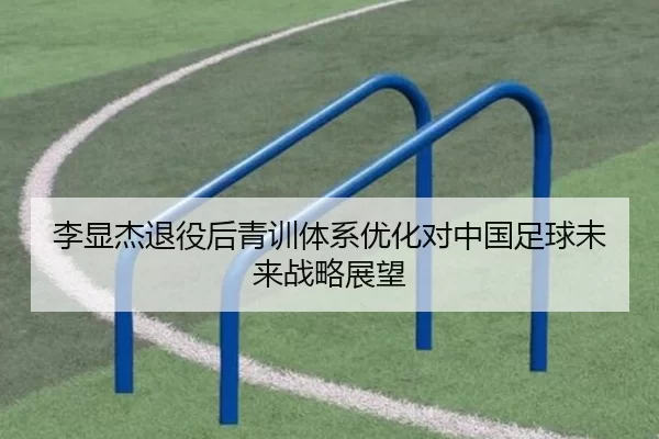 李显杰退役后青训体系优化对中国足球未来战略展望